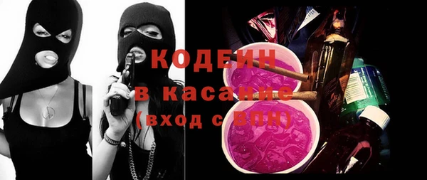 индика Анжеро-Судженск