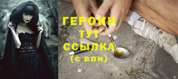 индика Анжеро-Судженск
