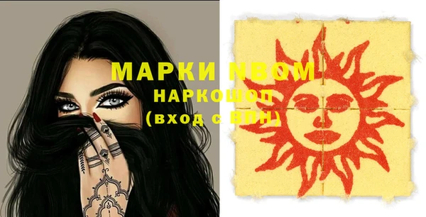 индика Анжеро-Судженск